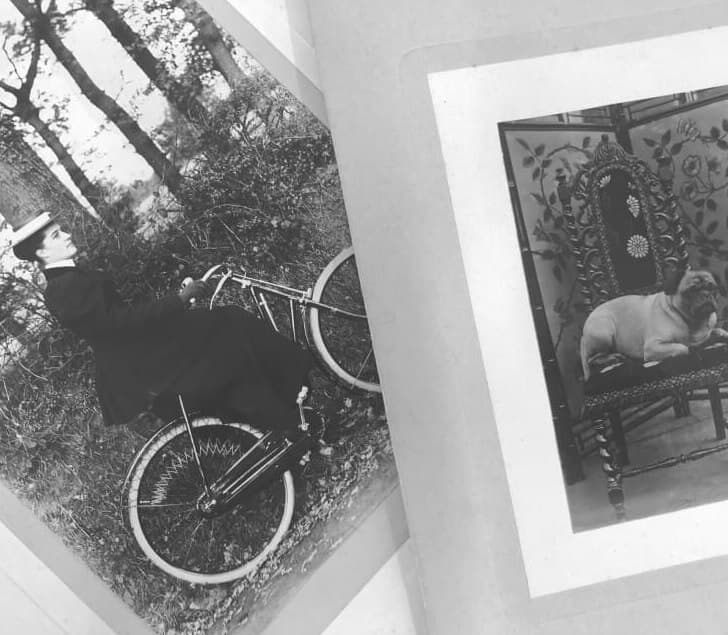 Black and white photo album with one image of a woman in vintage clothing riding a bicycle in a wooded area, and another image of a dog lying on an ornate chair indoors.